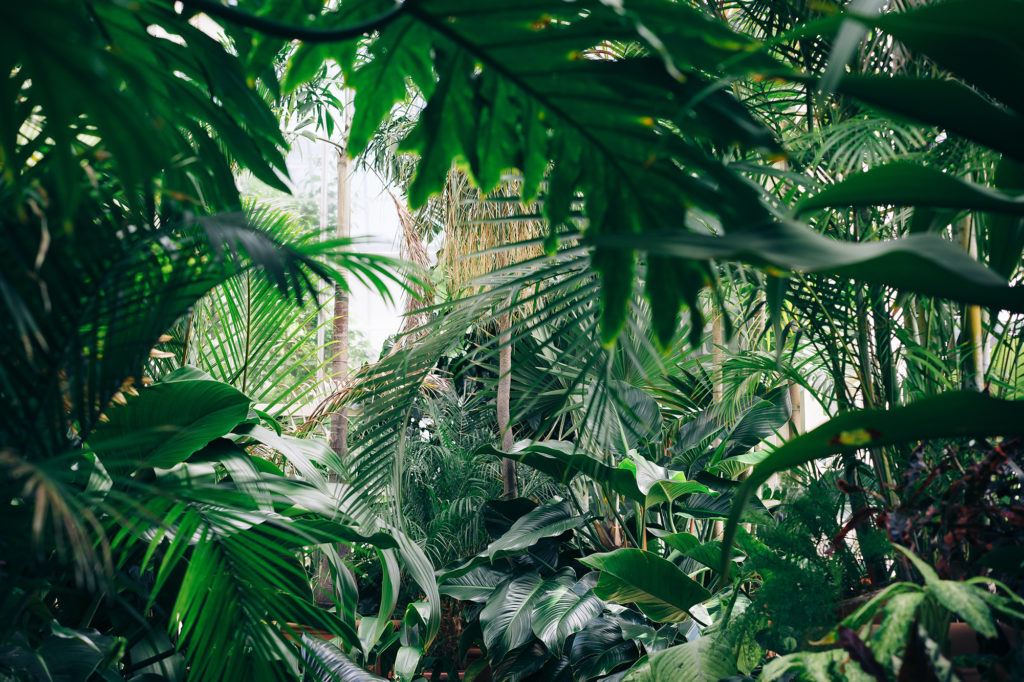 hoeveel-planten-werkvloer